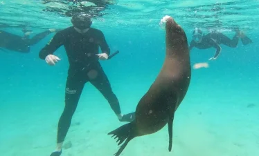 6 Days & 5 Nights in the Galapagos