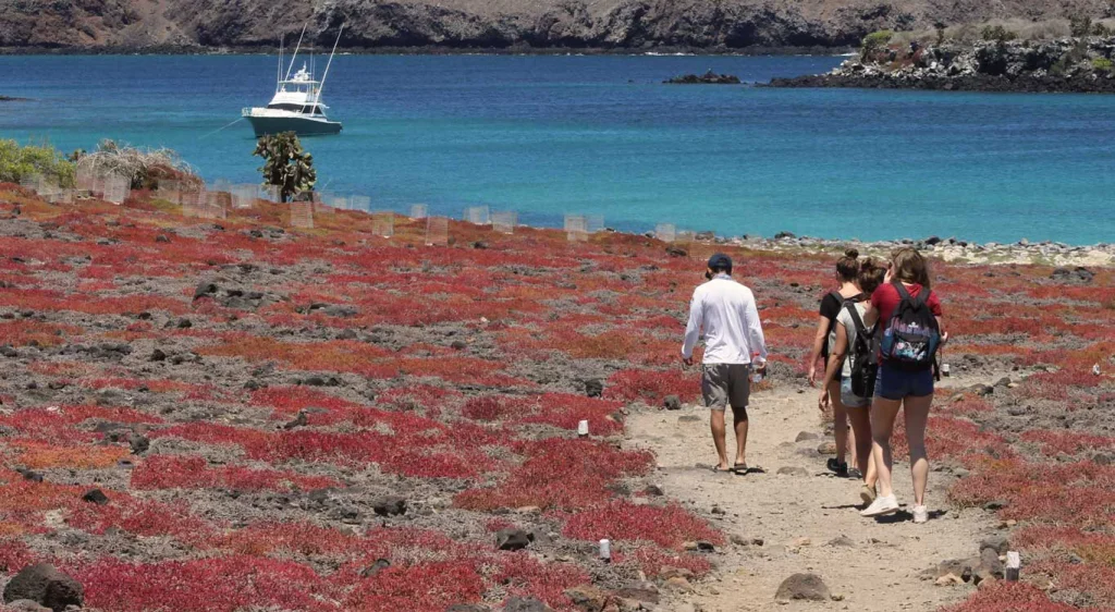 10_plaza-sur-island-32