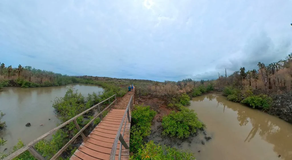 10_route-to-las-grietas-2