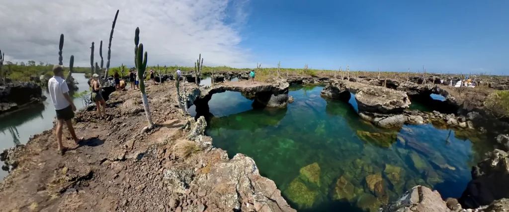 13_people-walking-in-tunnels-1