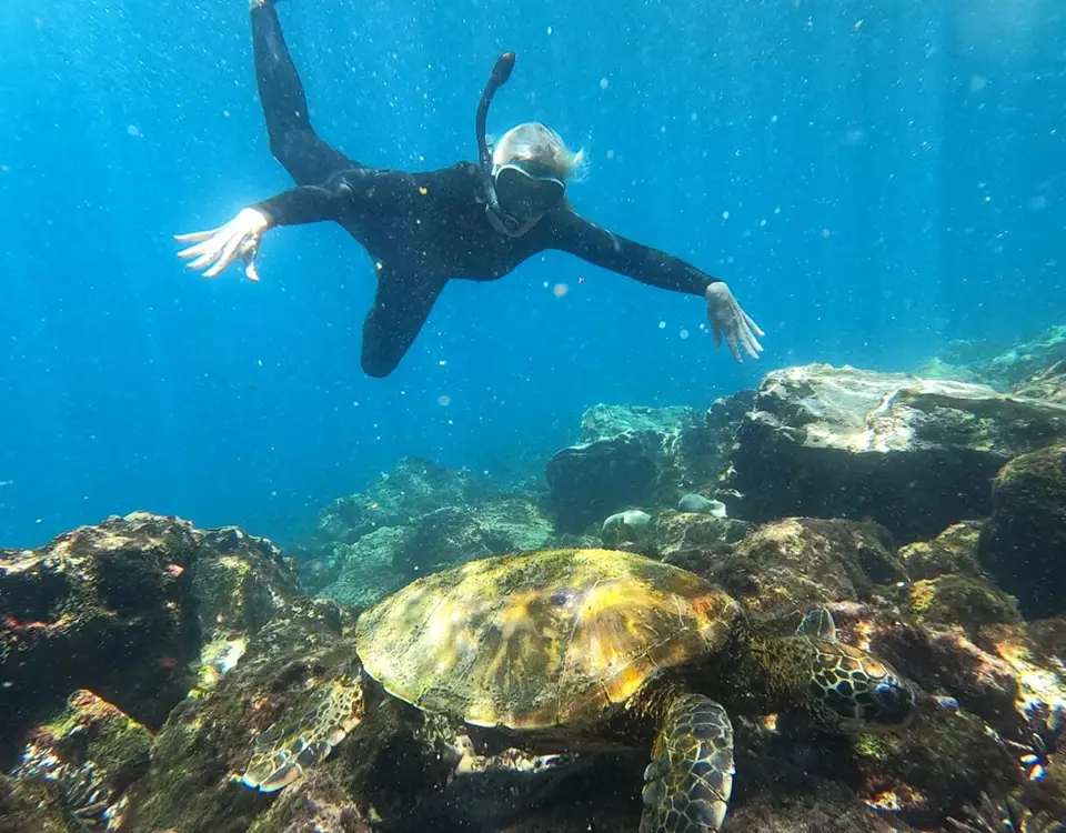 14_person-snorkeling-next-to-a-sea-turtle-1