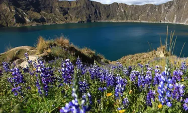 Quilotoa Lagoon & Zumbahua Highlands Experience