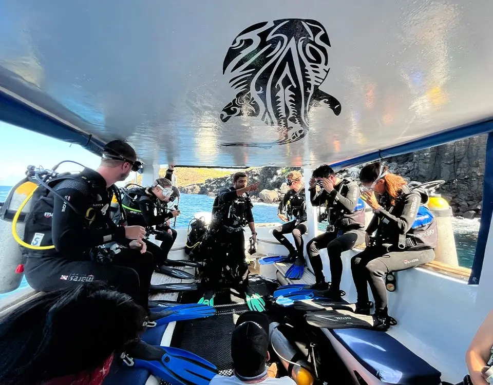 1_divers-getting-equipped-before-an-immersion-1