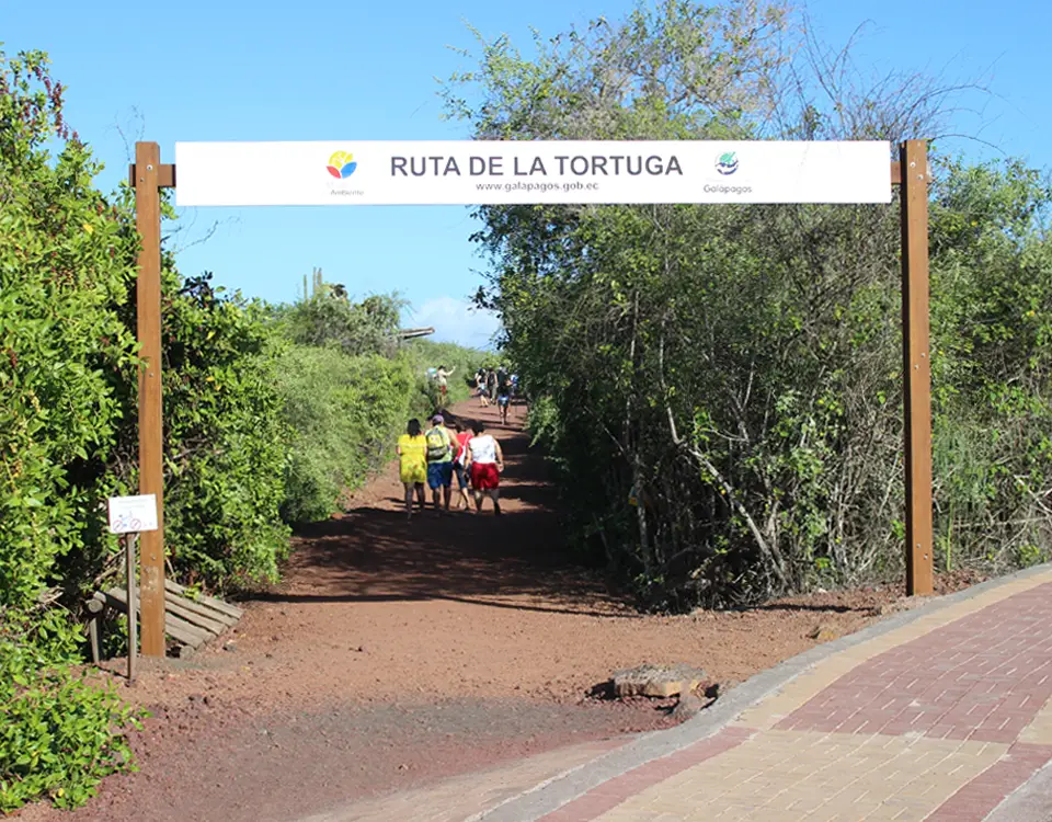 20_ruta-de-la-tortuga-1