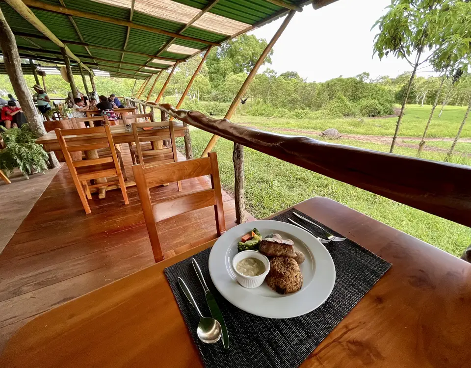 29_lunch-with-a-view-of-the-giant-tortoises-1