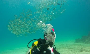 Beginner Scuba Diving Experience in the Galapagos