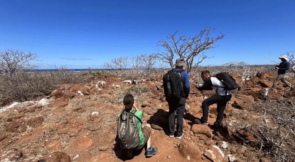 2_tourists-watching-a-red-breasted-frigatebird-2