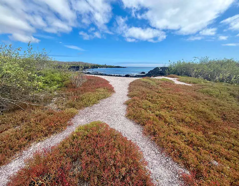 3_la-loberia-isla-floreana-1