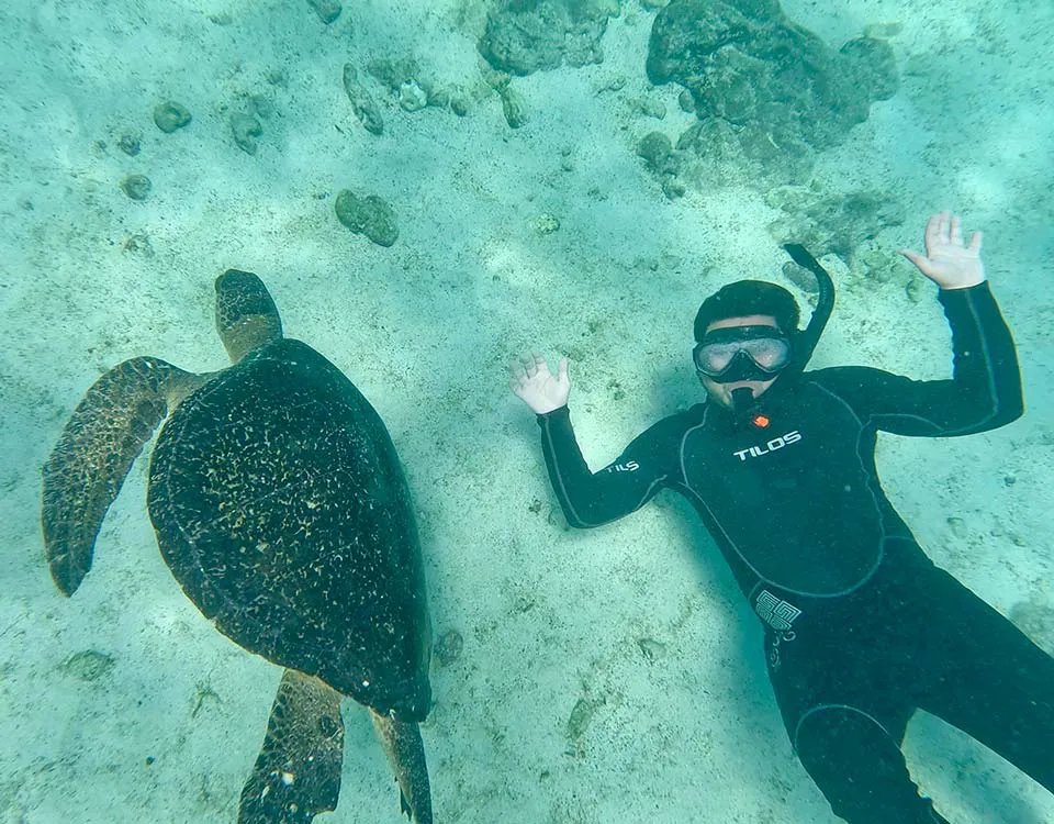 4_person-snorkeling-with-a-sea-turtle-1.jpg