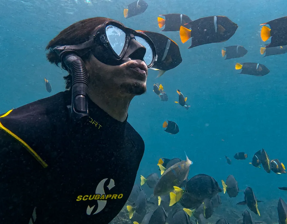4_persona-haciendo-snorkeling-con-peces-de-fondo-1