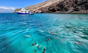 Pinzón Island Day Tour