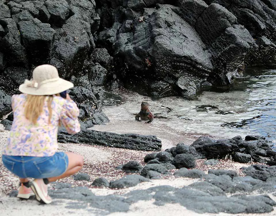 5_person-photographing-a-marine-iguana-1