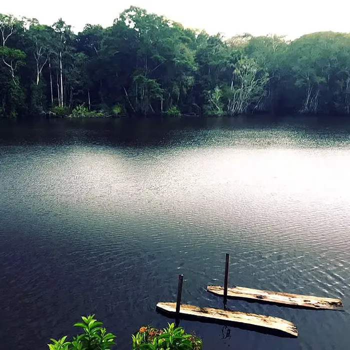 5_zancudo-lagartococha