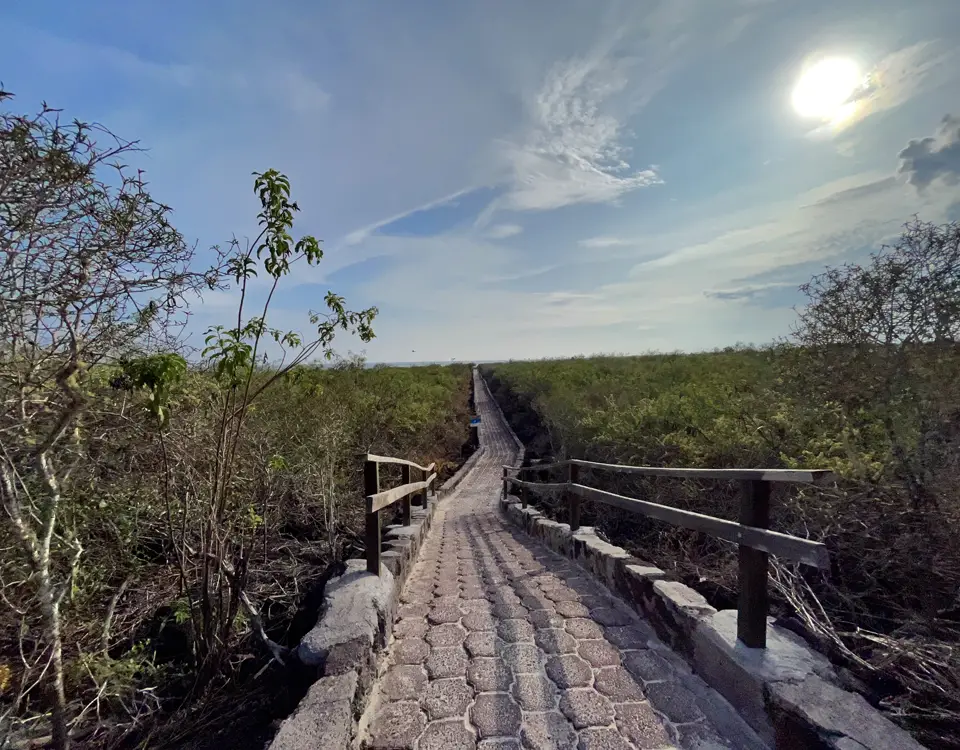 65_the-entrance-to-tortuga-bay-1