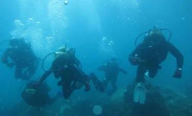 North Seymour Canal Diving Tour