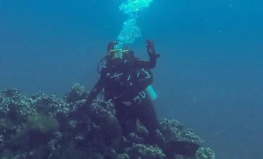 Gordon Rocks Diving Day Tour