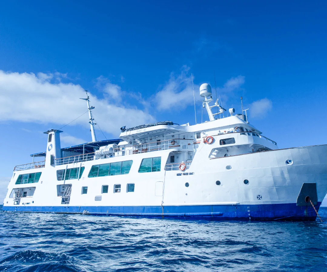 Crucero-Darwin-Tours