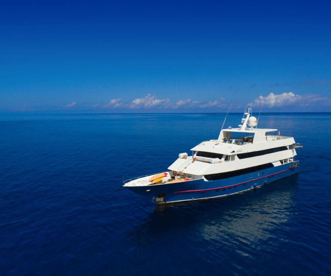 Crucero-buceo-Darwin-2