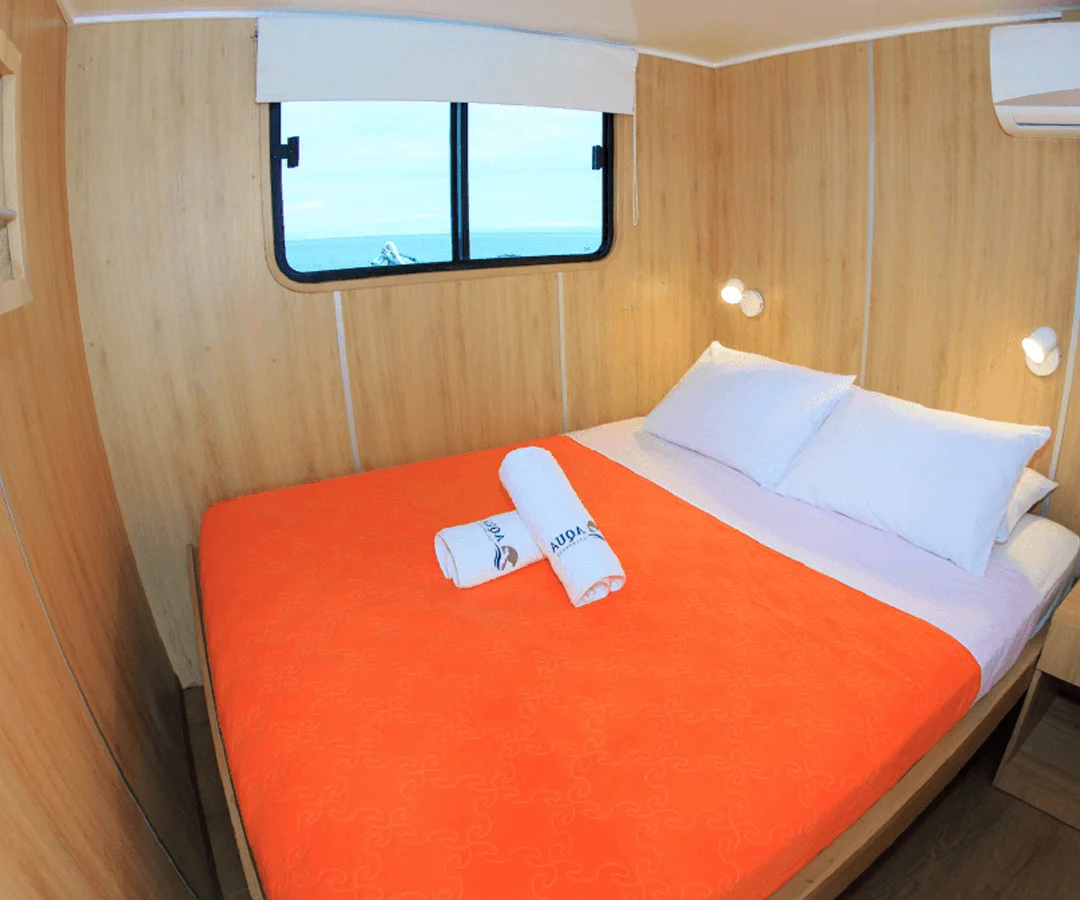 Crucero-buceo-Darwin-3