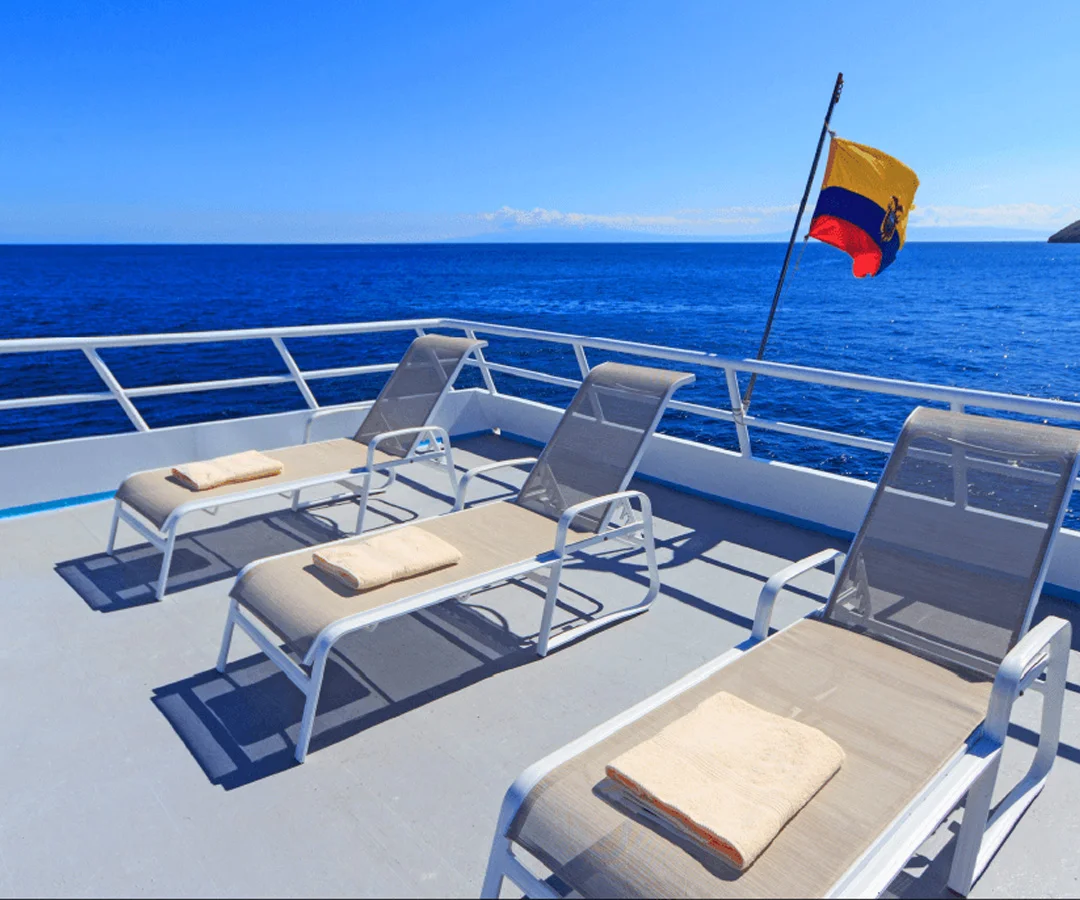 Crucero-buceo-Darwin-4