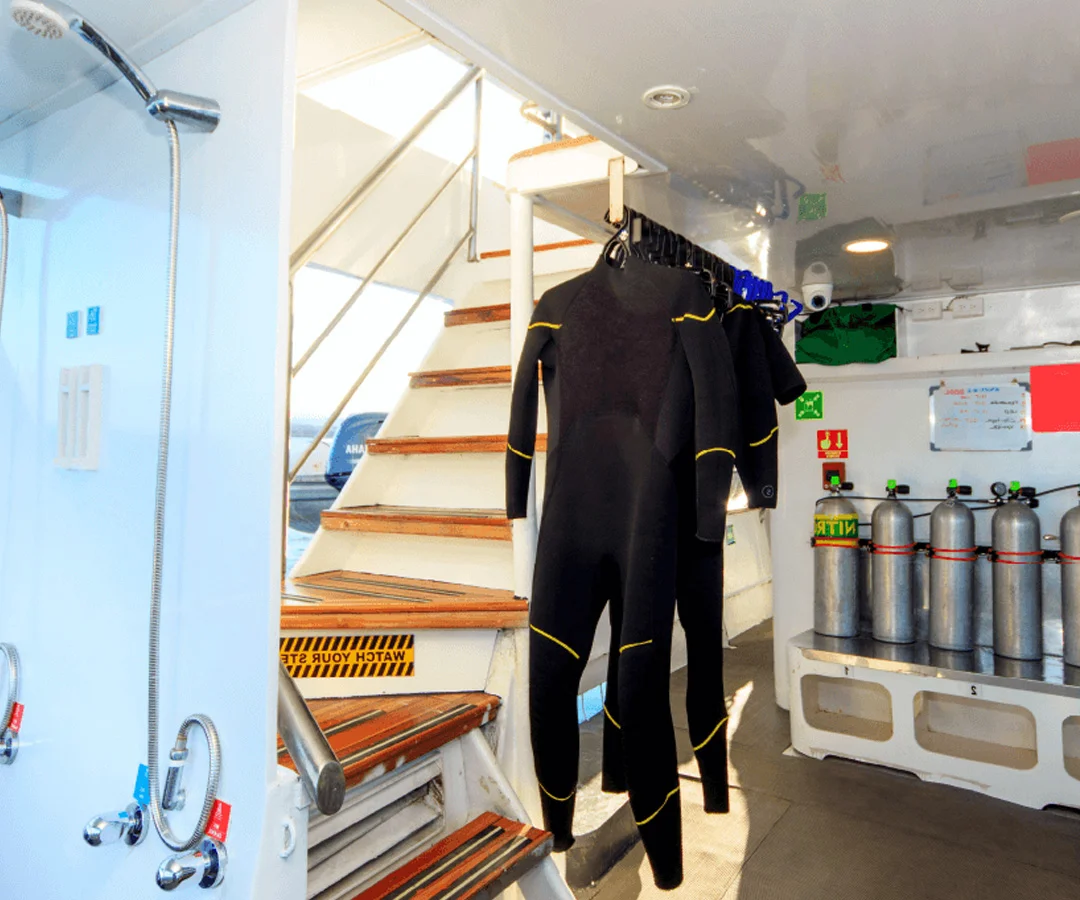 Crucero-buceo-Darwin-5