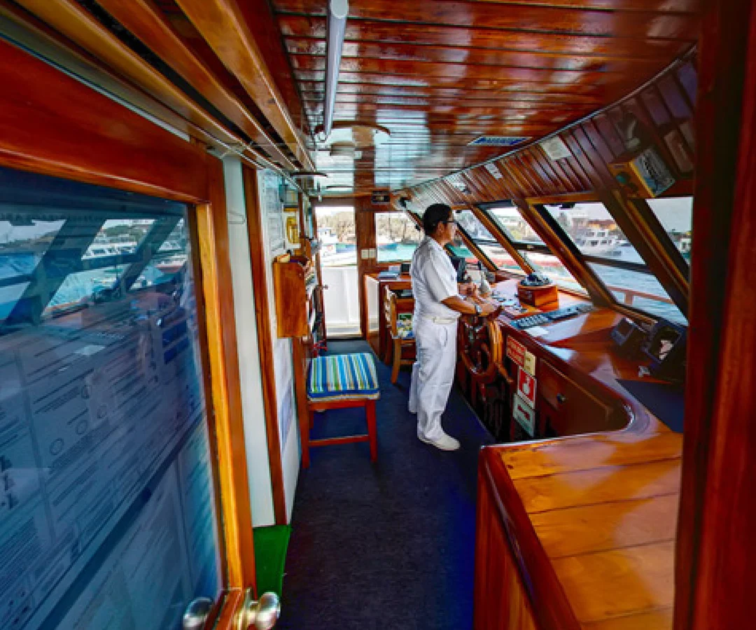 Crucero-economico-Darwin-1