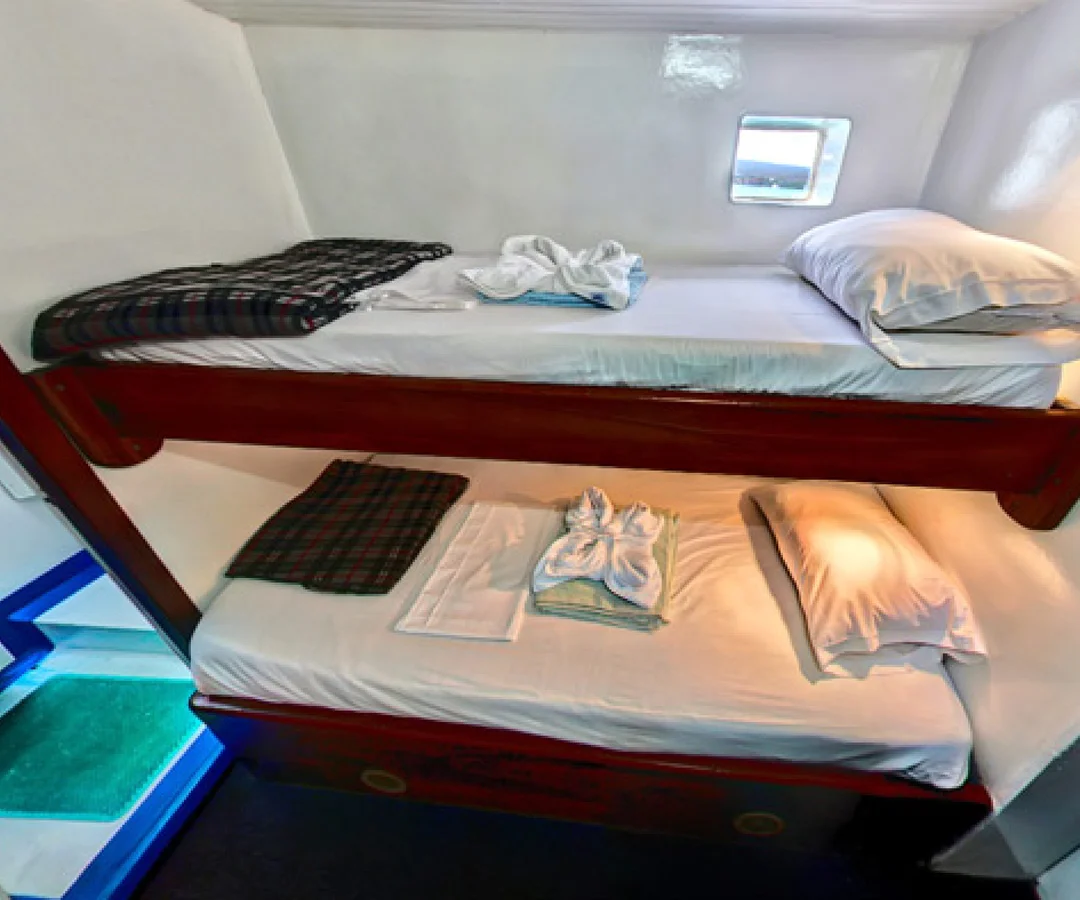 Crucero-economico-Darwin-2