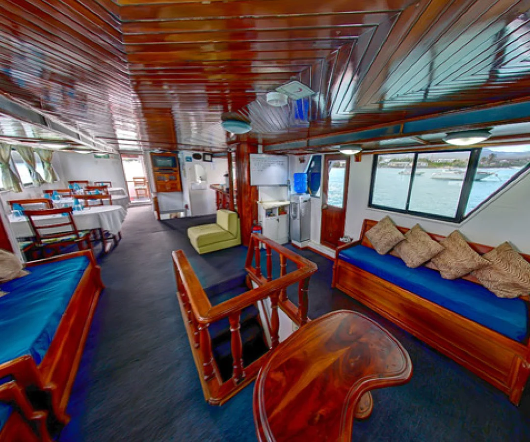 Crucero-economico-Darwin-3