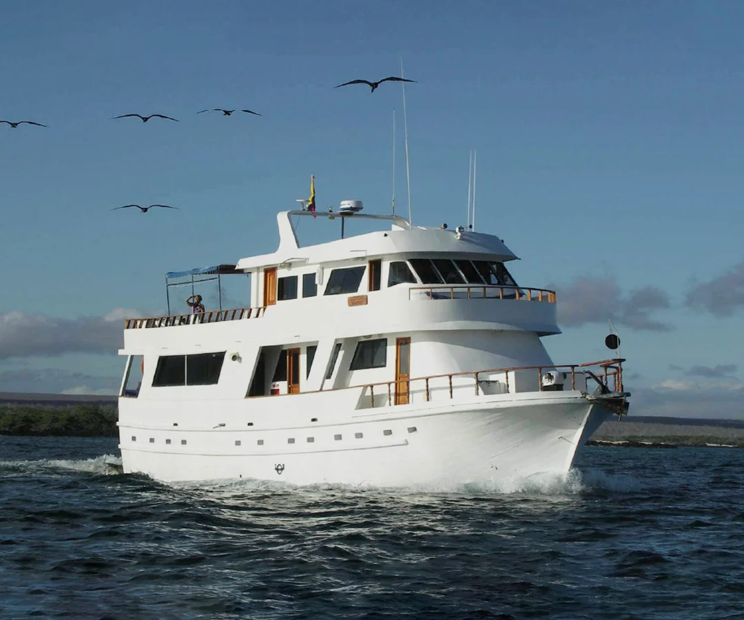 Crucero-economico-Darwin-4