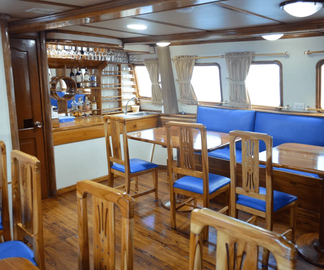 Crucero-media-clase-Darwin-Tours-3