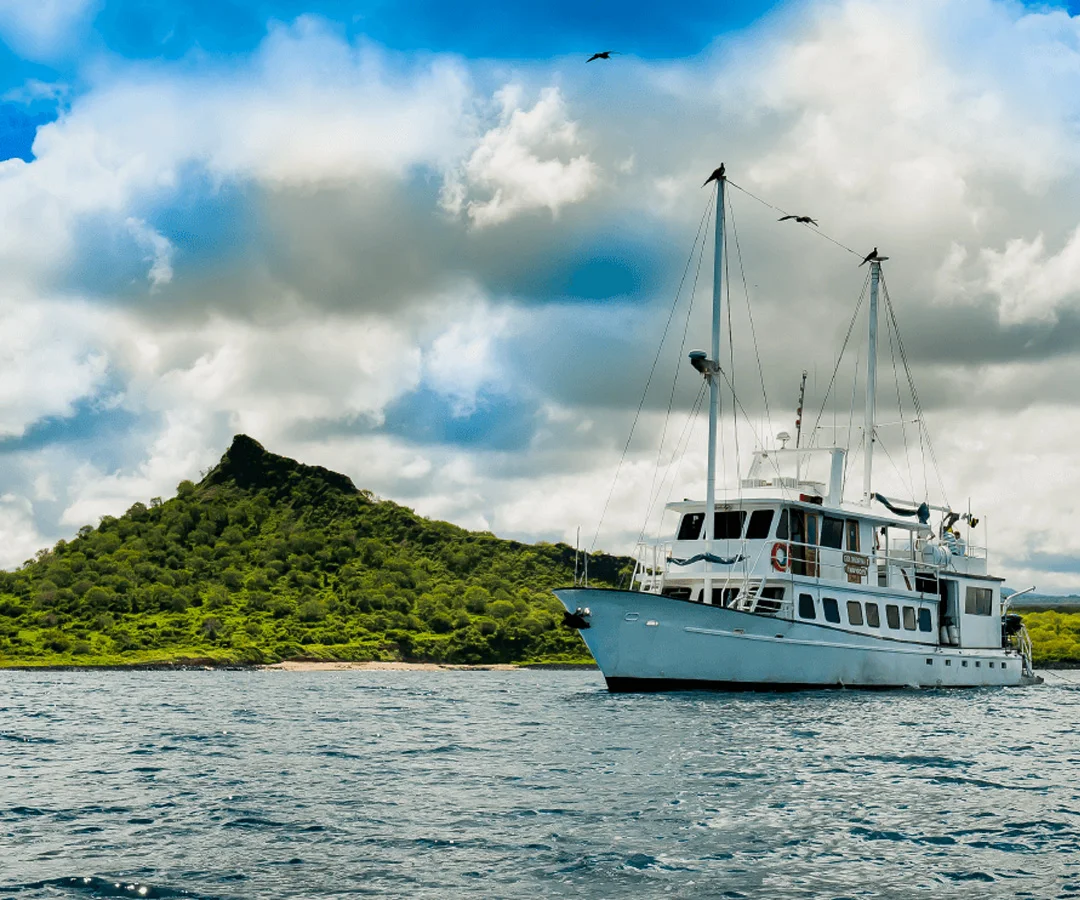 Crucero-media-clase-Darwin-Tours-4