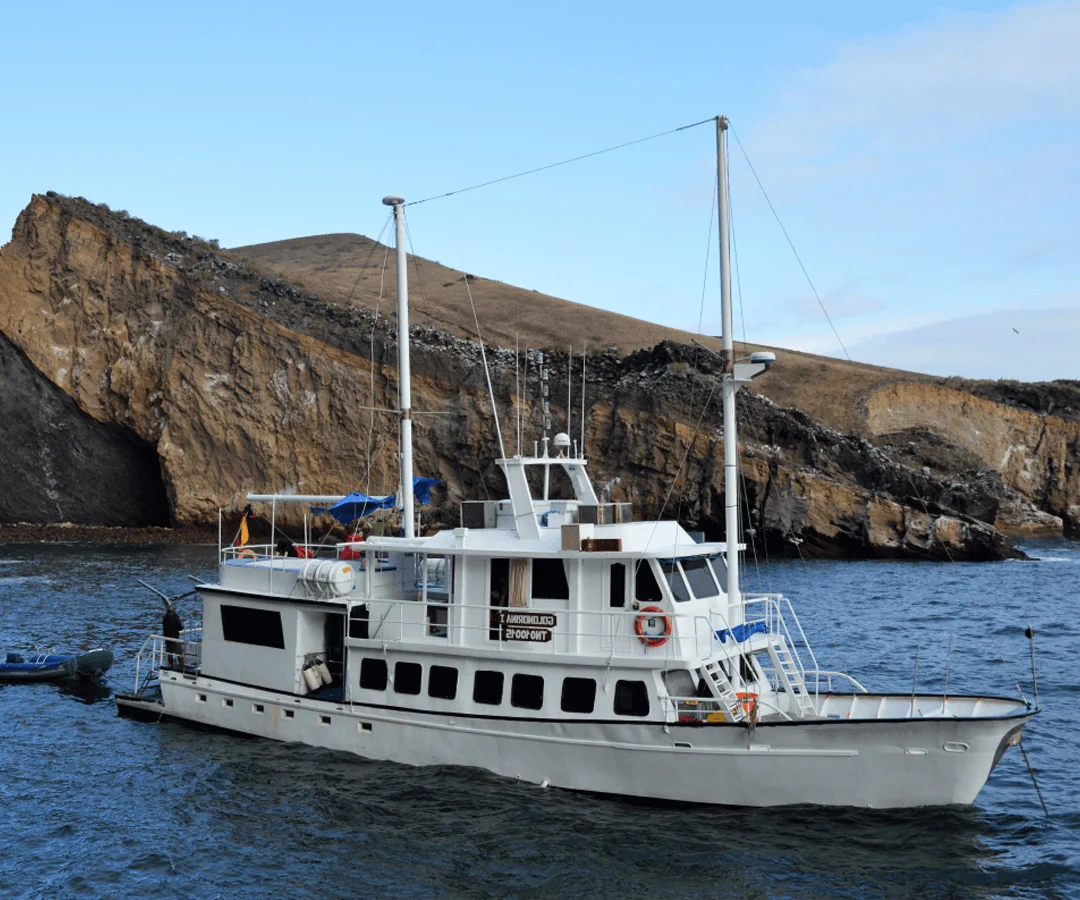 Crucero-media-clase-Darwin-Tours-5