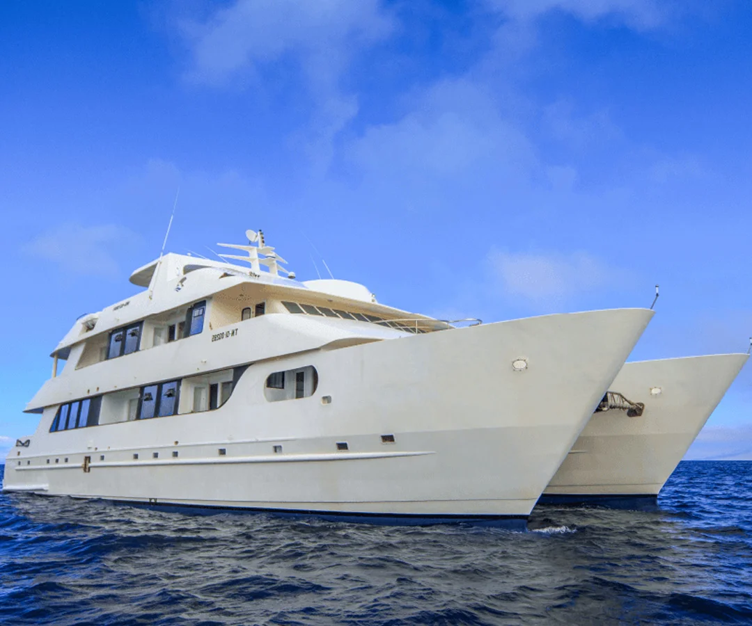 Crucero-primera.clase-Darwin-Tours-2