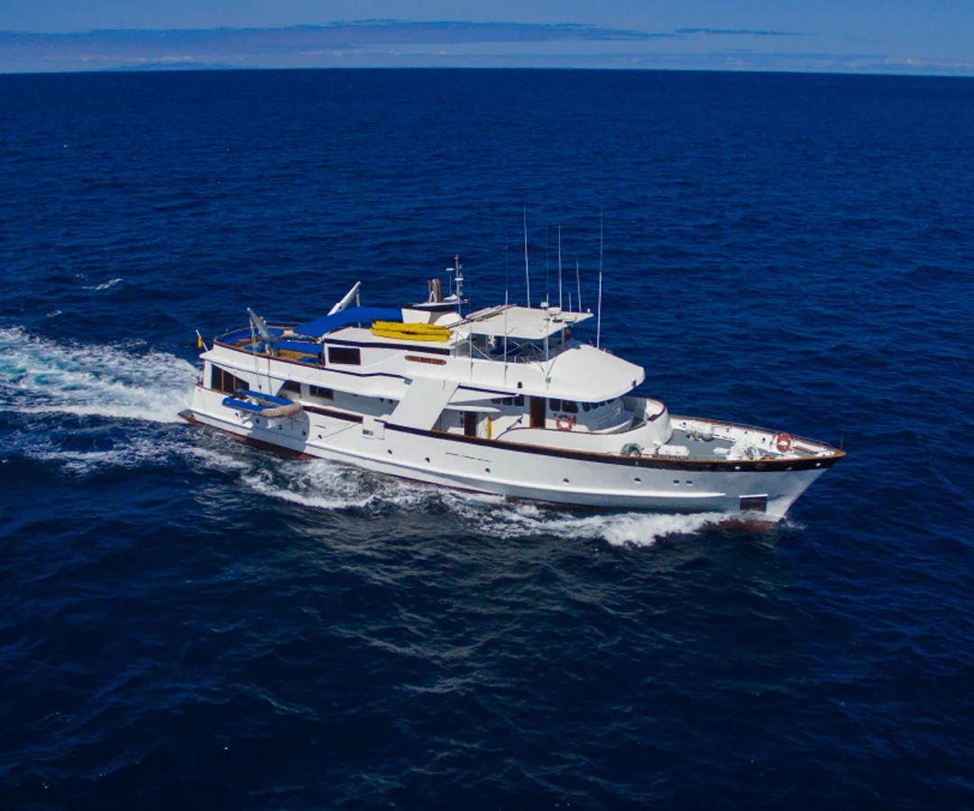 Crucero-primera.clase-Darwin-Tours-4