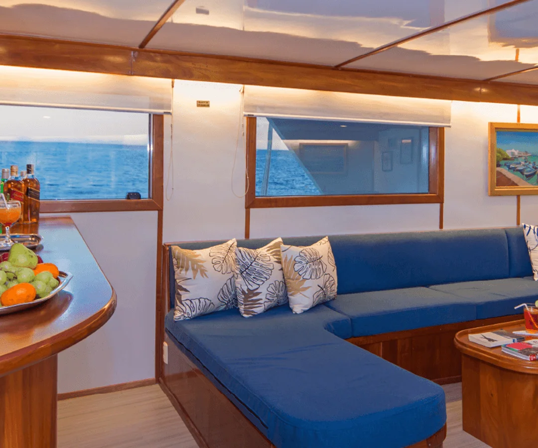 Crucero-primera.clase-Darwin-Tours-5