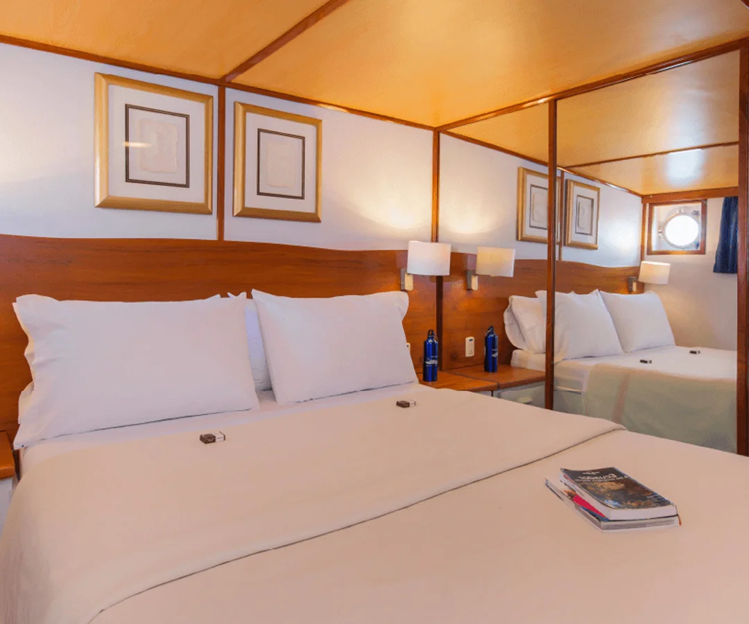 Crucero-primera.clase-Darwin-Tours-6