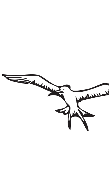 Darwin's Route Ecuador Tours