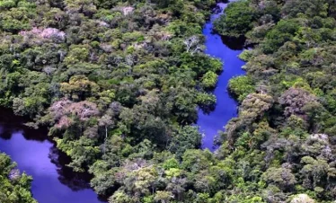 Zancudococha & Lagartococha Deep Amazon Expedition