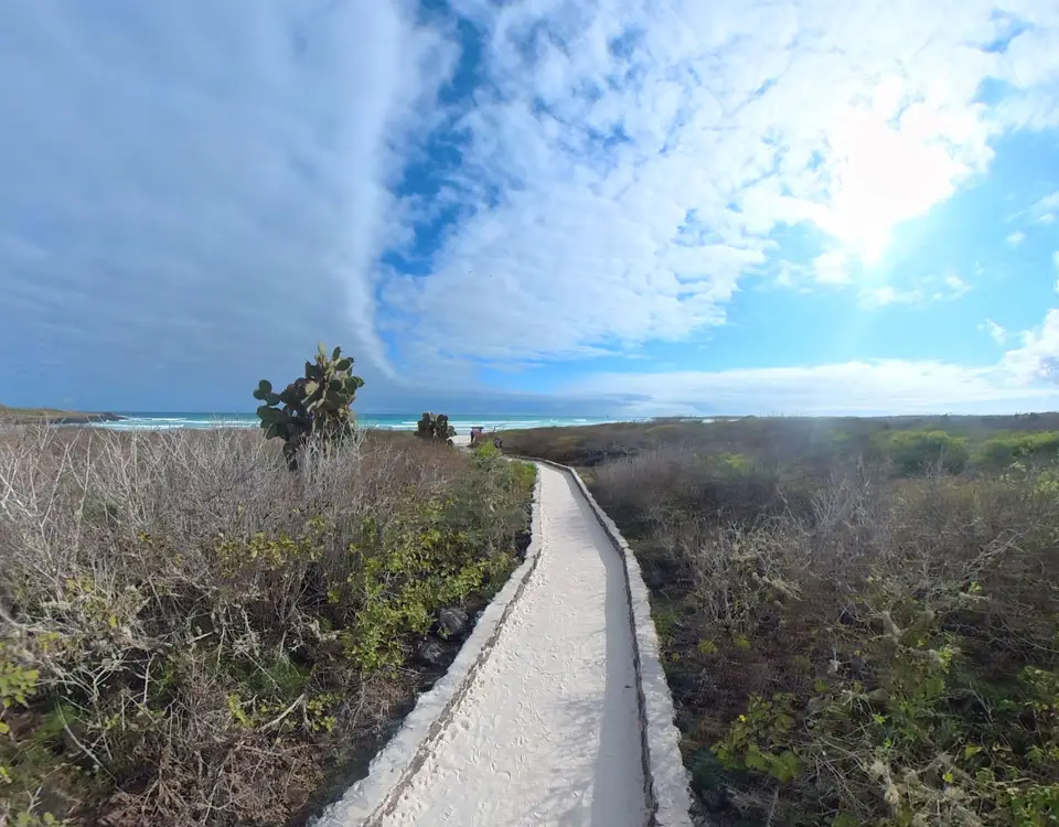 way-to-the-beach-turtle-bay-1