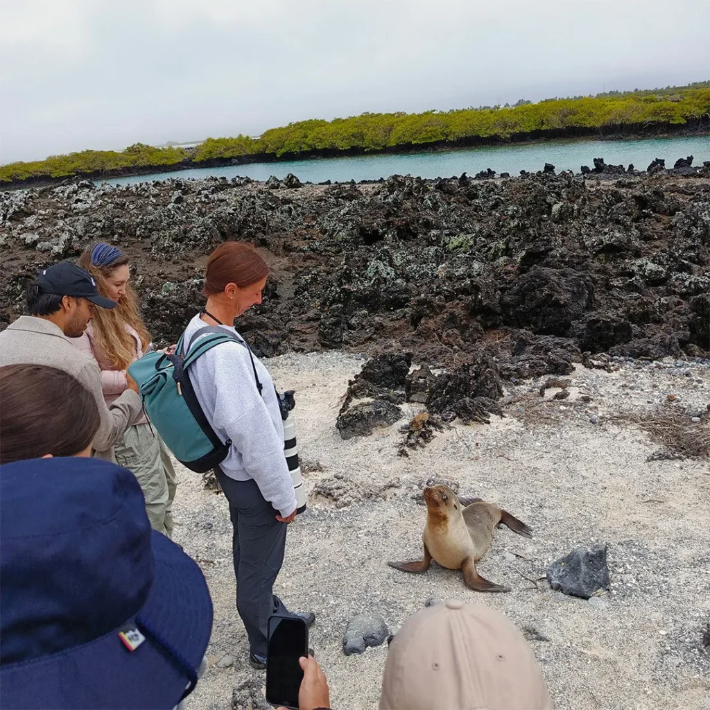 1_Islote_Tintoreras_6