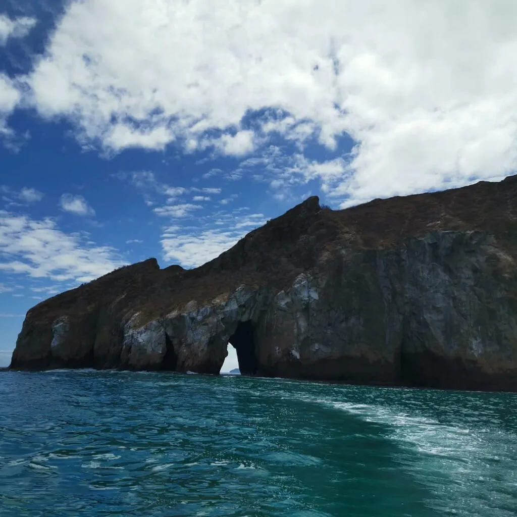 1_Leon-dormido-3-1024×1024