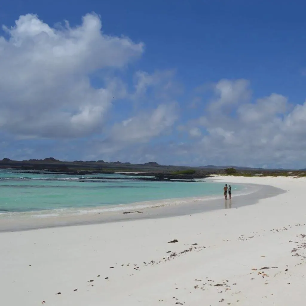 1_Tour-360-6-1024×1024