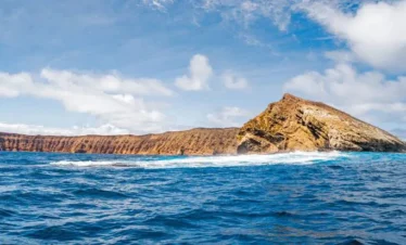 Tortuga Island