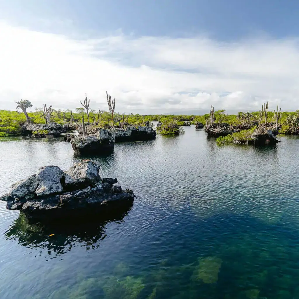 2_Tuneles-2-1-1024×1024