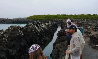 Tintoreras Islet