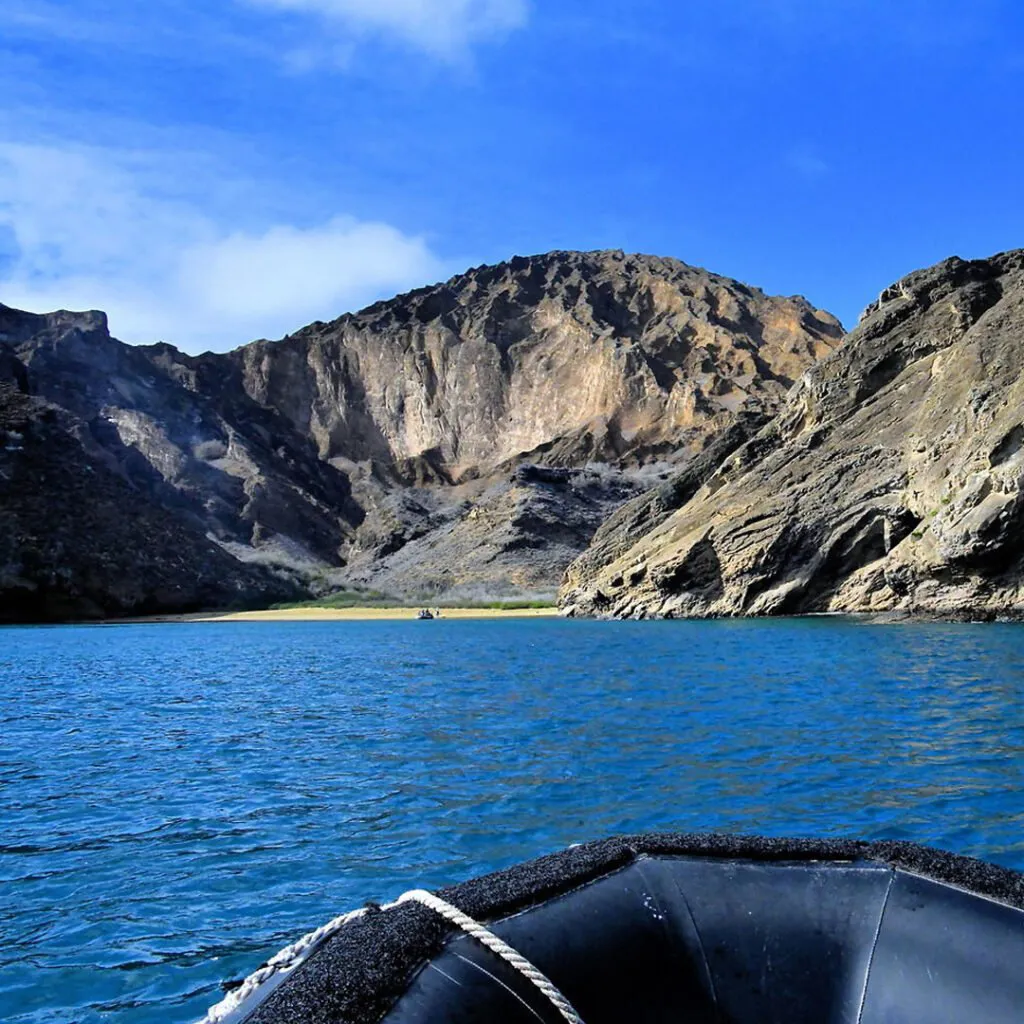 3_Punta-pit-2-1024×1024