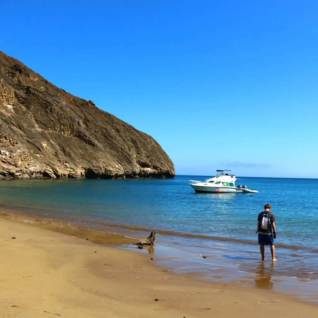 3_Tour-360-5-1-1024×1024