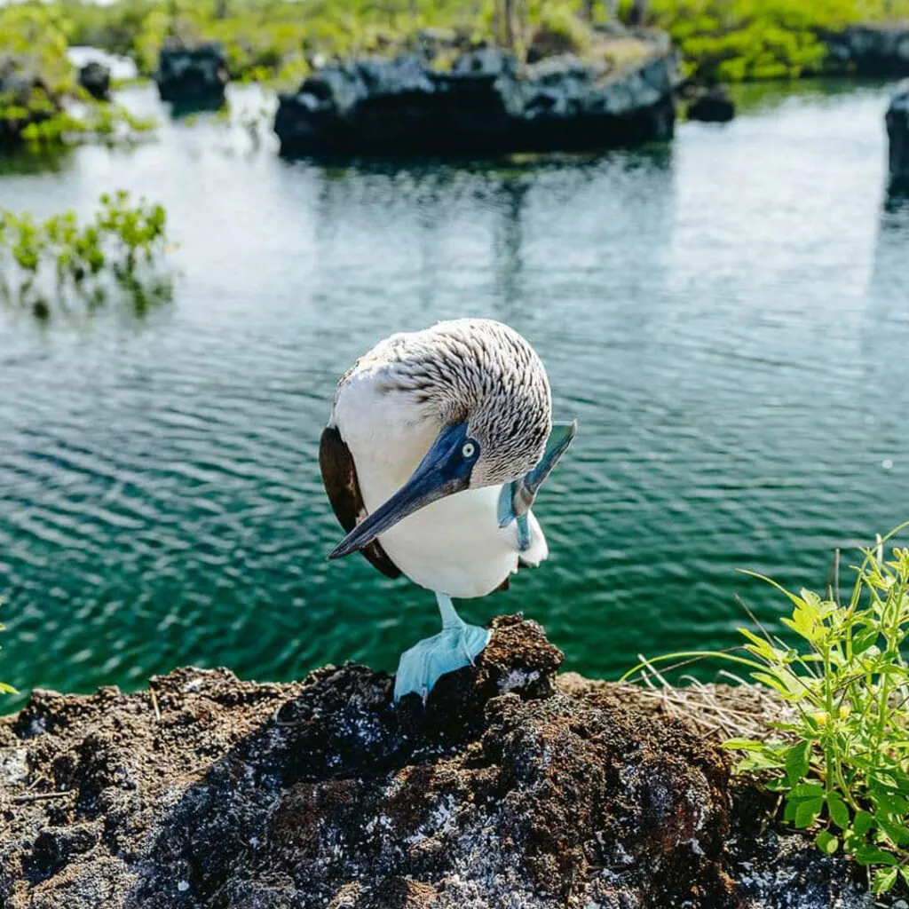 3_Tuneles-5-1024×1024