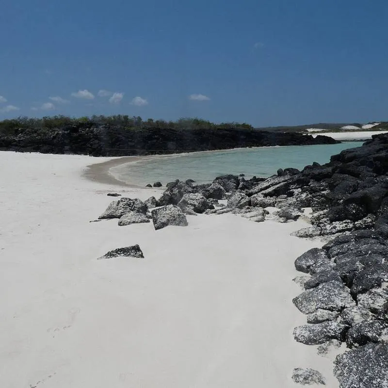 4_Tour-360-7-1024×1024