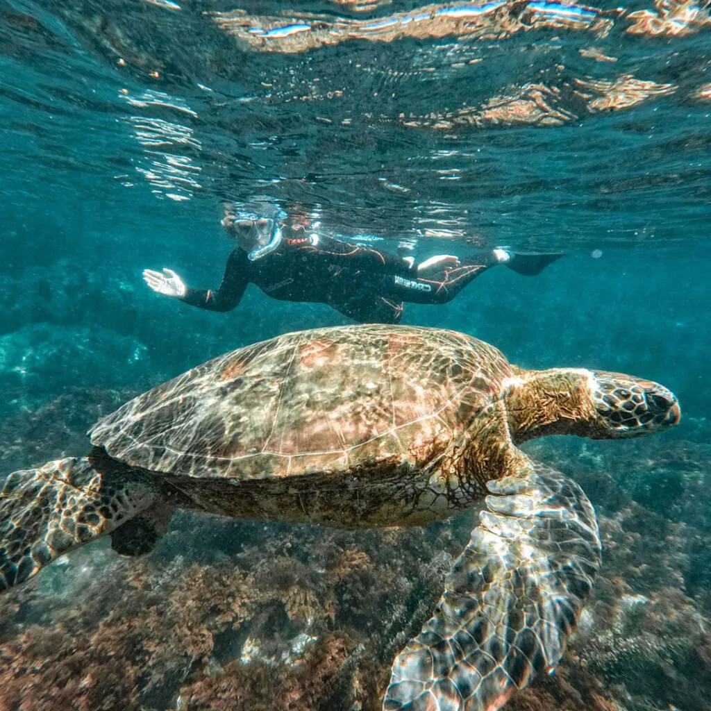 4_Tuneles-4-1024×1024